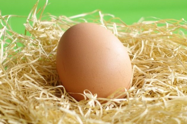 卵の栄養はどれくらい？1日何個まで？種類やカラの色に違いはあるの？
