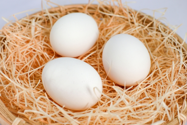 卵の栄養はどれくらい？1日何個まで？種類やカラの色に違いはあるの？