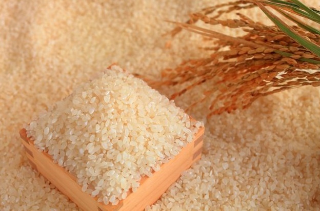 無洗米は洗うべき？白米と水の量は違うの？デメリットも確認！